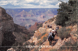 USA AZ GRAND CANYON - Gran Cañon