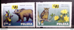 D2861 - Owls - Hiboux - Bears - Ours - Poland 2001 - MNH - 1,35 - Gufi E Civette