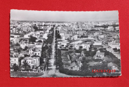 RABAT : Vue Générale Sur La Ville Européenne - Rabat