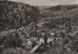 81195 - Treseburg - Blick Vom Aussichtspunkt - 1970 - Thale