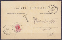 CP Evian-les-Bains Non-affranchie Càd HAMME /18 MARS 1909 Pour TAMISE Taxée 5c (½ TX5) Càd TAMISE /19 MARS 1909 - Storia Postale