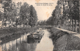 45-CHATILLON COLIGNY-N°3862-H/0189 - Chatillon Coligny