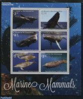 Saint Vincent 2016 Marine Mammals 6v M/s, Mint NH, Nature - Sea Mammals - St.Vincent (1979-...)