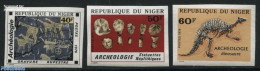 Niger 1976 Archeology 3v, Imperforated, Mint NH, History - Nature - Archaeology - Prehistoric Animals - Art - Cave Pai.. - Archéologie