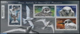 French Antarctic Territory 2017 White Tern S/s, Mint NH, Nature - Birds - Unused Stamps