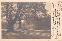 13 / MARSEILLE / TRES JOLIE CARTE PHOTO LAC DU CHATEAU BORELY - Parcs Et Jardins