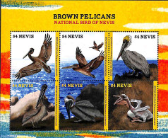 Nevis 2017 Brown Pelicans 6v M/s, Mint NH, Nature - Birds - St.Kitts Und Nevis ( 1983-...)