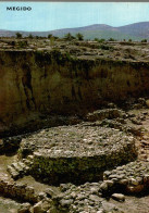 CPM Megido Excavations, Fouilles - Israele