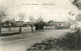 56 - La Gacilly - Le Marché Aux Porcs - La Gacilly