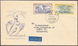 CZECHOSLOVAKIA 1957, TRAVELED ENVELOPE With FLOWERS And SPECIAL PRINT In GOOD QUALITY - Covers & Documents