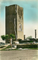 MAROC   RABAT La Tour Hassan  28  (scan Recto-verso)MA1931Ter - Rabat
