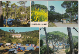 La SEYNE-sur-MER. Sur Le Cap Sicié,camping En Forêt De JANAS - La Seyne-sur-Mer