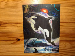 Postcard - Dolphin, Lenticular, 3D - Delfini