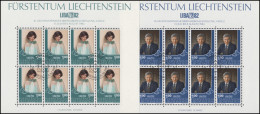 797-798 Liechtensteinische Briefmarkenausstellung LIBA 1982, KB-Satz ESSt - Oblitérés