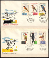 CZECHOSLOVAKIA 1964, BIRDS, FDC With SPECIAL PRINT In GOOD QUALITY - Briefe U. Dokumente