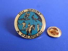 Pin's Du Sport à Palaiseau - Tennis Tir à L'arc Escalade équitation Cheval Planche à Voile  (PF53) - Bogenschiessen