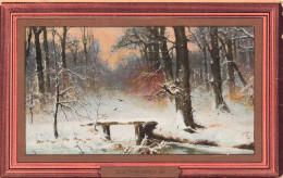 ILLUSTRATEURS & PHOTOGRAPHES - Als It Winter Is - Dans Une Forêt Enneigée - Des Arbres - Carte Postale Ancienne - Non Classificati