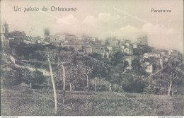 Ad262 Cartolina Un Saluto Da Ortezzano  1918 Provincia Di Ascoli Piceno - Ascoli Piceno