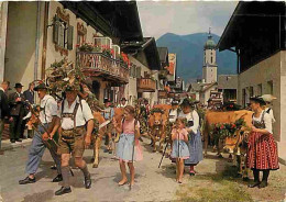 Folklore - Costumes - Almabtrieb - Vaches - CPM - Voir Scans Recto-Verso - Costumes