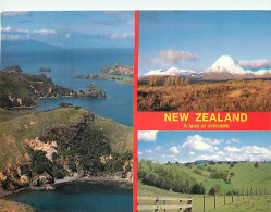 Nouvelle Zélande - New Zealand - Multivues - CPM - Voir Scans Recto-Verso - Neuseeland
