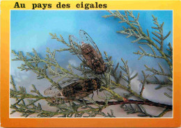 Animaux - Insectes - Cigale - CPM - Carte Neuve - Voir Scans Recto-Verso - Insectos