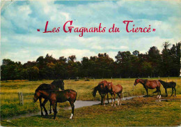 Animaux - Chevaux - CPM - Voir Scans Recto-Verso - Pferde