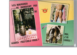 NORMANDIE - Humour Les Normands Ne Manquent Pas De Trou - Le Trou Normand Calva Cul De Vache Et Homme En String - Basse-Normandie