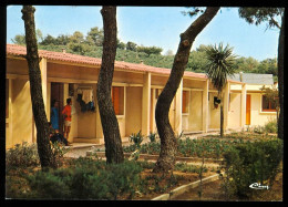 LA LONDE LES MAURES Centre De Vacances PTT édition Cim Carte Rare - La Londe Les Maures