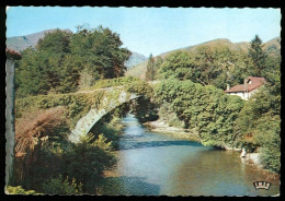 SAINT ETIENNE DE BAIGORRY  Le Vieux Pont Sur La Nive édition IRIS - Saint Etienne De Baigorry