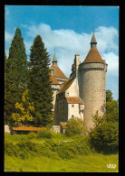 CHENERAILLES  Le Chateau D'étansanne édition Théojac Carte Rare - Chenerailles