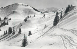 Switzerland Hornberg Ob Saanenmoser Huhnerspiel - Beatenberg