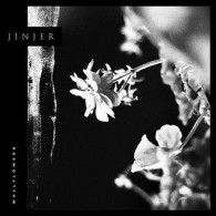 Wallflowers, Du Groupe Ukrainien Jinjer : Vinyle Marbré Blanc/rouge. Edition Limitée à 300 Exemplaires. LP Collector - Collectors