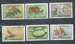 ROMANIA 1995 - PLANTS FROM BUCHAREST - CPL. SET - USED OBLITERE GESTEMPELT USADO - Other & Unclassified