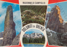 CARTOLINA  C5 MADONNA DI CAMPIGLIO,TRENTO,TRENTINO ALTO ADIGE-DOLOMITI DI BRENTA-VACANZA,BELLA ITALIA,VIAGGIATA 1983 - Trento