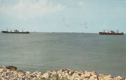 Ships At Anchor In Galveston Bay - Galveston