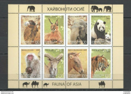 Ec187 2009 Tajikistan Wwf Fauna Of Asia Animals 1Kb Mnh - Unused Stamps