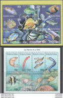 Nw0615-616 Comoros Fauna Fish & Marine Life Treasures Of The Sea 2Kb Mnh - Marine Life