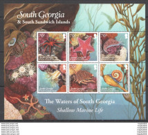 Fat006 2012 South Georgia Shallow Marine Life Fauna #550-5 16 Euro Mnh - Meereswelt