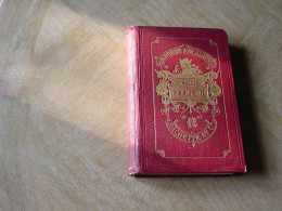 Livre Ancien Robinsonette 1875 - Paris Librairie Hachette - Bibliothèque Rose Illustrée - - Bibliothèque Rose