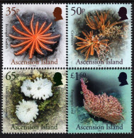 Ascension Island - 2024 - Deep Sea Flora And Fauna - Mint Stamp Set - Ascension (Ile De L')