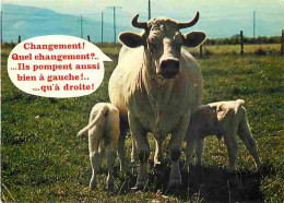 Animaux - Vaches - Carte Humoristique - Etat Pli Visible - CPM - Voir Scans Recto-Verso - Vaches
