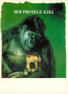Animaux - Singes - Gorille - Moi Protège Kiki - Illustration : Maurice Betite - Carte Neuve - CPM - Voir Scans Recto-Ver - Monkeys