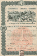 COMPAGNIE DE LAS MINAS DE ORO Y PLATA LA PRECIOSA -MEXIQUE -LOT DE 3 ACTIONS   ANNEE 1909 - Mines