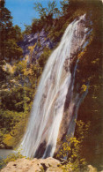 Cascada "Cola De Caballo" A 40 Km. De Monterrey, N. L., México - Mexico