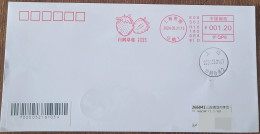 China Cover "White Crane Strawberry" (Shanghai) Postage Stamp First Day Actual Delivery Seal - Buste