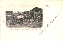 CPA Carte Postale Israël Jéricho Repos Pris Sur Le Rivage Du Jourdain 1900 VM79005ok - Israele