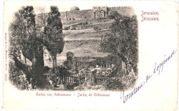 CPA Carte Postale Israël Jérusalem Jardin De Géthsemani 1900 VM79006ok - Israele