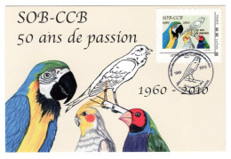 Carte Maximum Corrèze 50 Ans Société Ornithologique Brive 2010 Canari Club De Brive Oiseau Oiseaux - 2010-2019