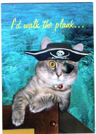 Chat Humanisé- Dressed Cat -katze - Poes Piraat Met Oogkapje En Hoed - Dressed Animals