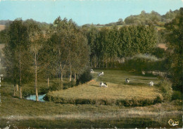 61 - LONGNY AU PERCHE - Longny Au Perche